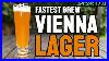 Brew-A-Pseudo-Vienna-Lager-Fastest-54-Hour-Grain-To-Glass-Brewzilla-35l-01-sfs